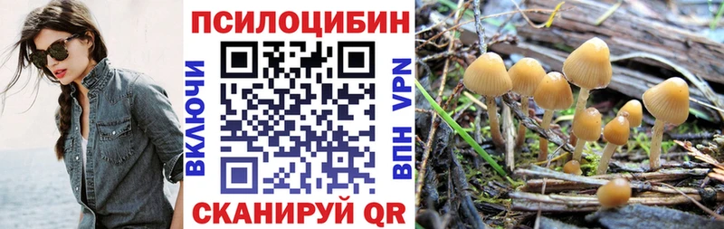 блэк спрут tor  наркошоп  мориарти какой сайт  Галлюциногенные грибы мухоморы  Усмань 